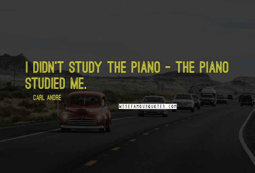 Carl Andre Quotes: I didn't study the piano - the piano studied me.