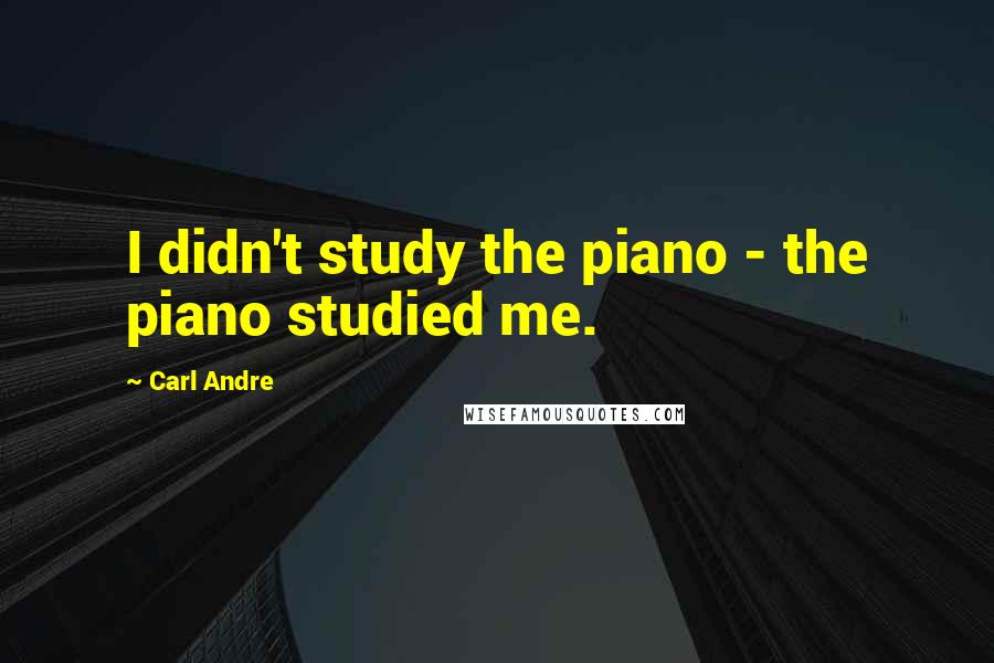 Carl Andre Quotes: I didn't study the piano - the piano studied me.