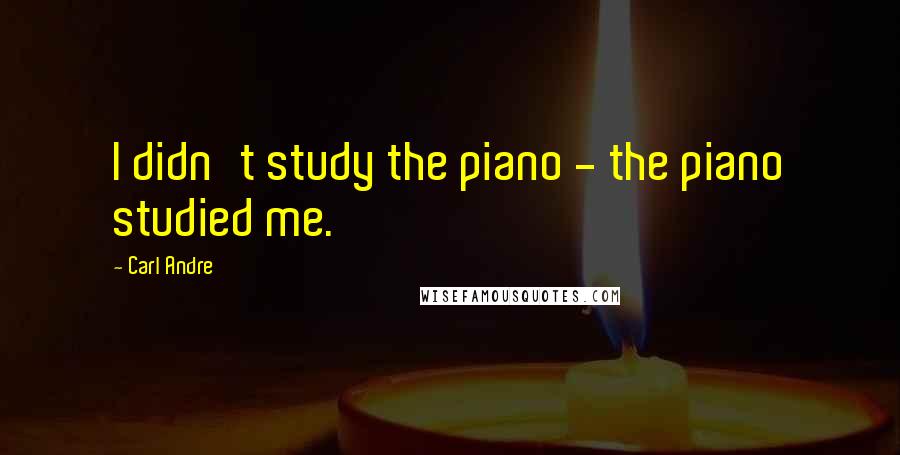 Carl Andre Quotes: I didn't study the piano - the piano studied me.