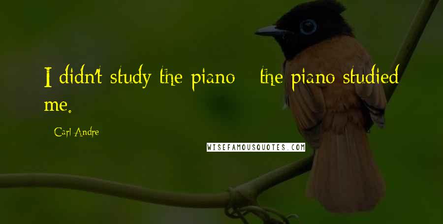 Carl Andre Quotes: I didn't study the piano - the piano studied me.