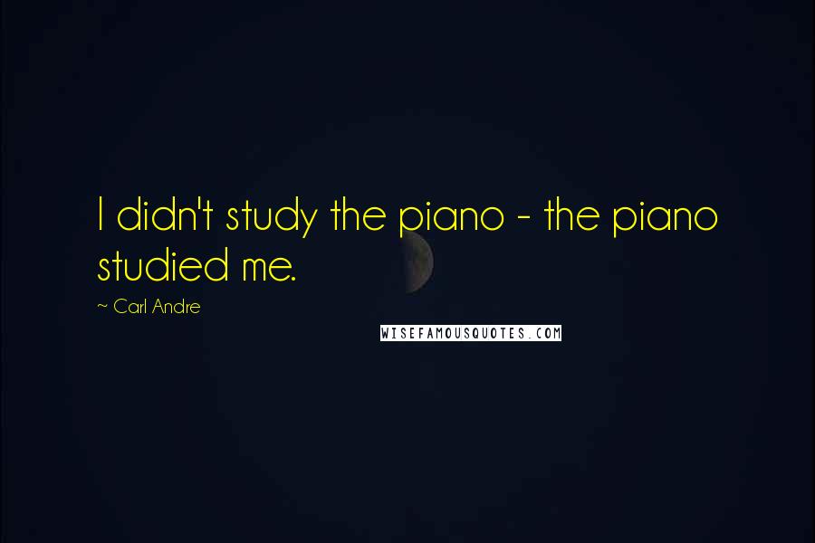 Carl Andre Quotes: I didn't study the piano - the piano studied me.