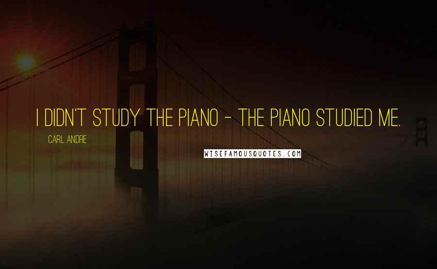 Carl Andre Quotes: I didn't study the piano - the piano studied me.