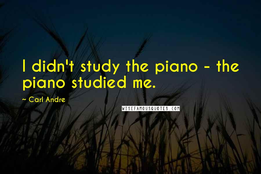 Carl Andre Quotes: I didn't study the piano - the piano studied me.