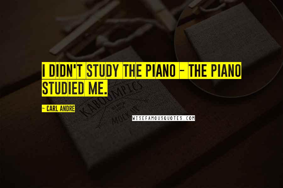 Carl Andre Quotes: I didn't study the piano - the piano studied me.