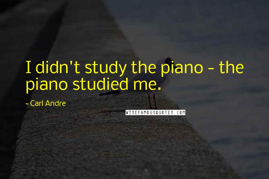 Carl Andre Quotes: I didn't study the piano - the piano studied me.