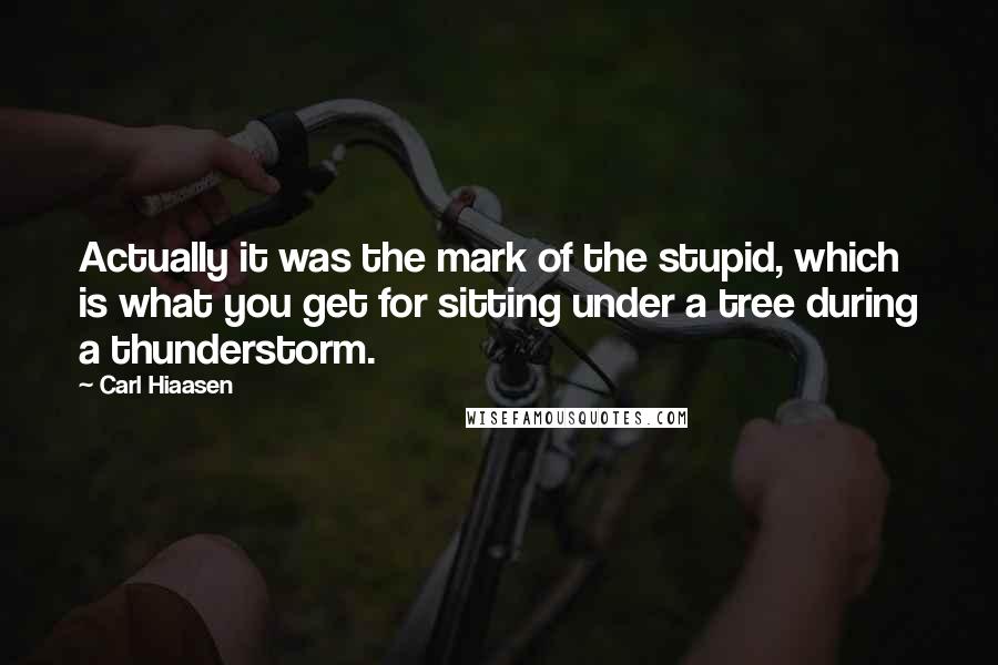 Carl Hiaasen Quotes: Actually it was the mark of the stupid, which is what you get for sitting under a tree during a thunderstorm.