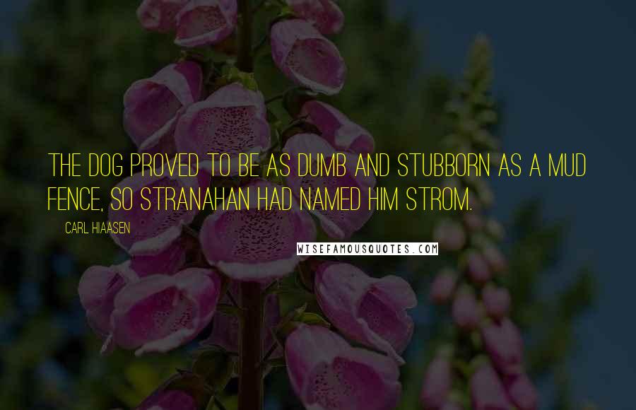 Carl Hiaasen Quotes: The dog proved to be as dumb and stubborn as a mud fence, so Stranahan had named him Strom.