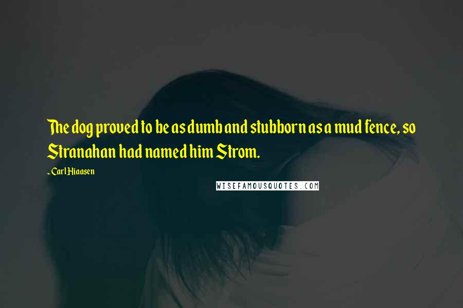 Carl Hiaasen Quotes: The dog proved to be as dumb and stubborn as a mud fence, so Stranahan had named him Strom.