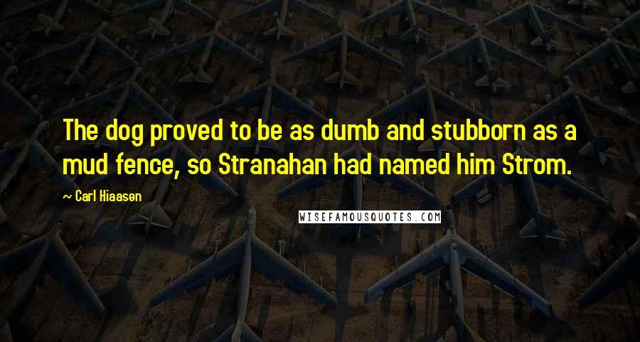 Carl Hiaasen Quotes: The dog proved to be as dumb and stubborn as a mud fence, so Stranahan had named him Strom.