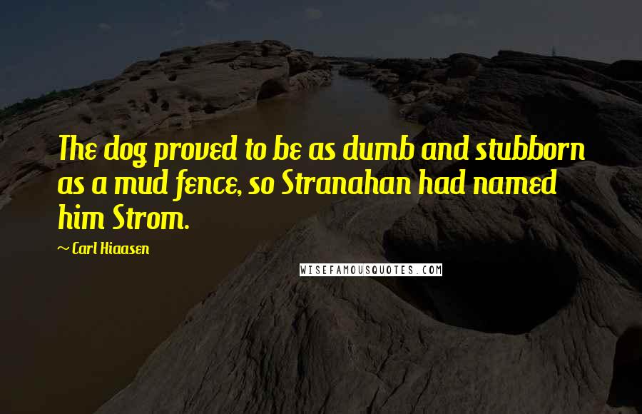 Carl Hiaasen Quotes: The dog proved to be as dumb and stubborn as a mud fence, so Stranahan had named him Strom.