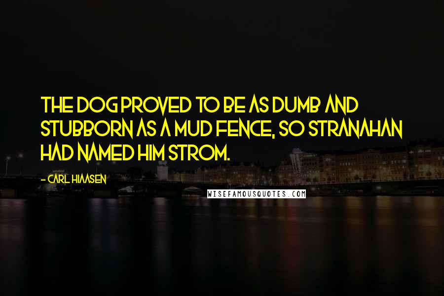 Carl Hiaasen Quotes: The dog proved to be as dumb and stubborn as a mud fence, so Stranahan had named him Strom.