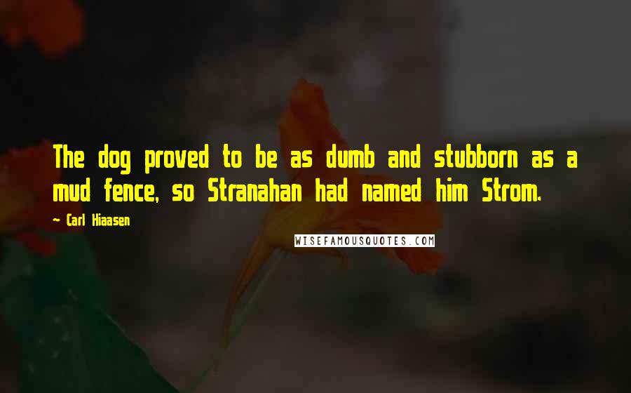 Carl Hiaasen Quotes: The dog proved to be as dumb and stubborn as a mud fence, so Stranahan had named him Strom.