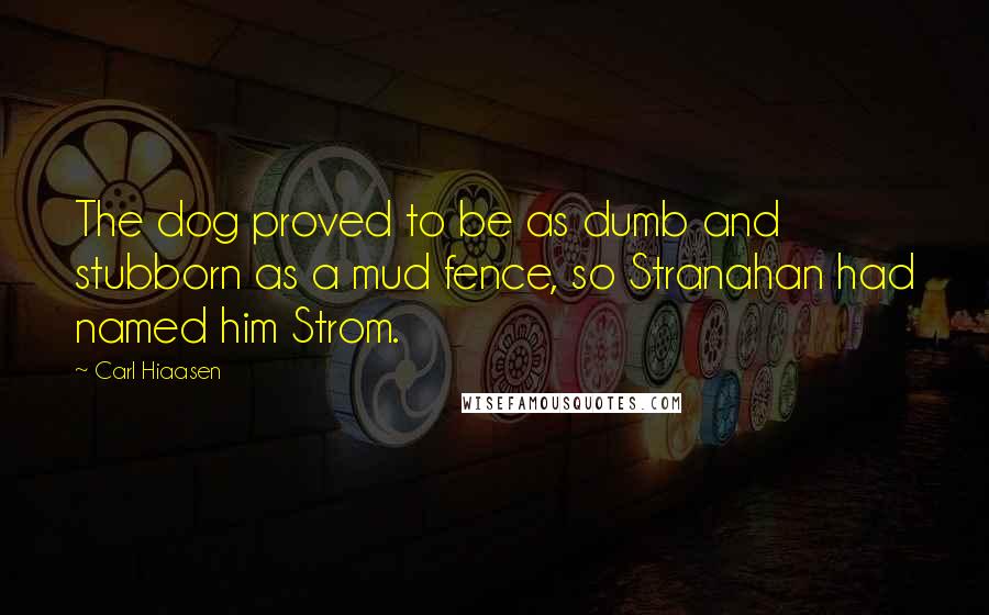 Carl Hiaasen Quotes: The dog proved to be as dumb and stubborn as a mud fence, so Stranahan had named him Strom.