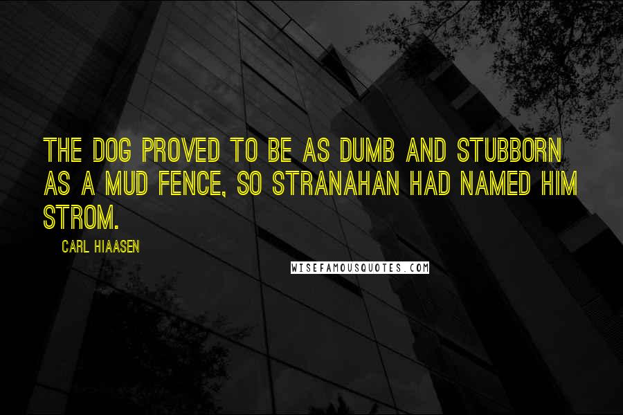 Carl Hiaasen Quotes: The dog proved to be as dumb and stubborn as a mud fence, so Stranahan had named him Strom.