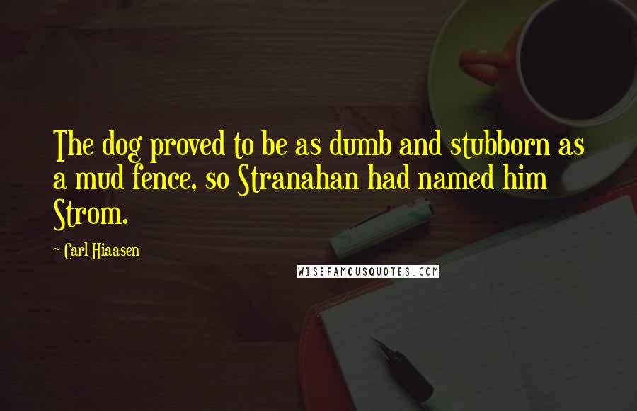 Carl Hiaasen Quotes: The dog proved to be as dumb and stubborn as a mud fence, so Stranahan had named him Strom.