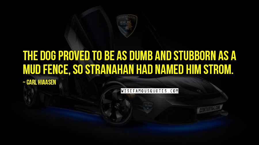 Carl Hiaasen Quotes: The dog proved to be as dumb and stubborn as a mud fence, so Stranahan had named him Strom.