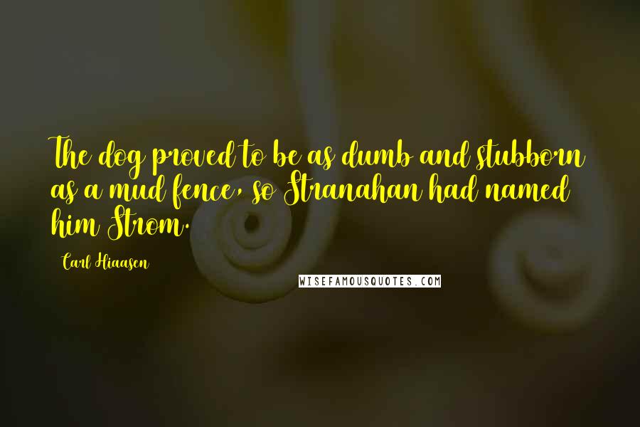 Carl Hiaasen Quotes: The dog proved to be as dumb and stubborn as a mud fence, so Stranahan had named him Strom.