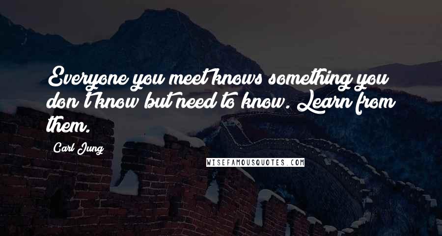 Carl Jung Quotes: Everyone you meet knows something you don't know but need to know. Learn from them.