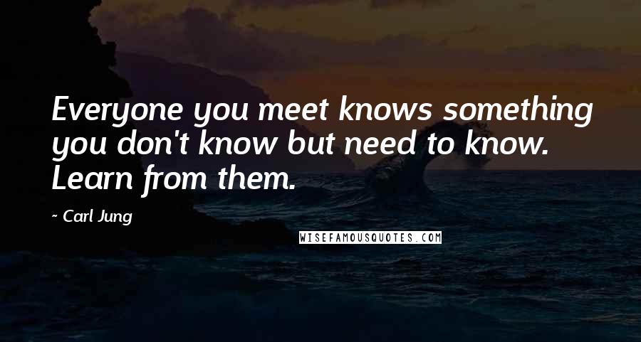 Carl Jung Quotes: Everyone you meet knows something you don't know but need to know. Learn from them.