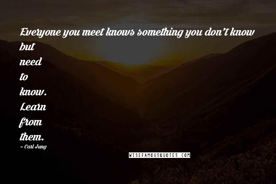 Carl Jung Quotes: Everyone you meet knows something you don't know but need to know. Learn from them.