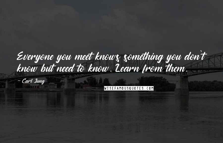 Carl Jung Quotes: Everyone you meet knows something you don't know but need to know. Learn from them.