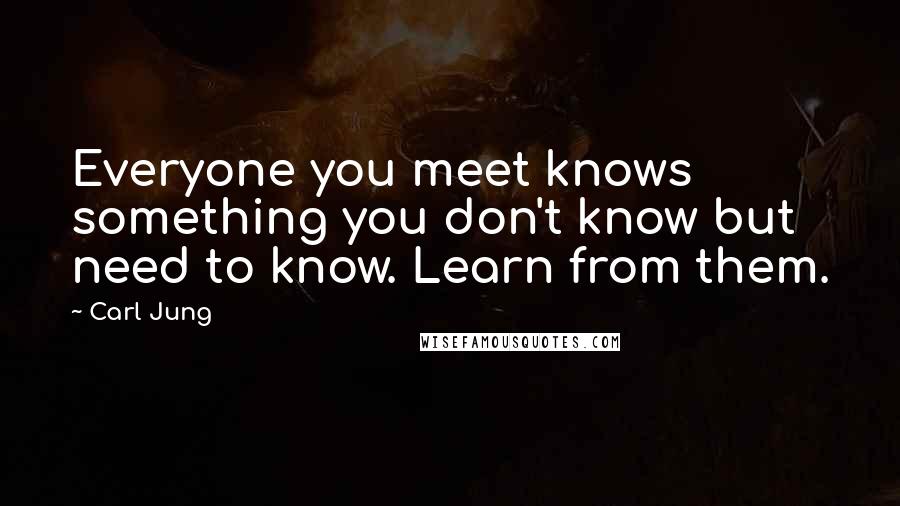 Carl Jung Quotes: Everyone you meet knows something you don't know but need to know. Learn from them.