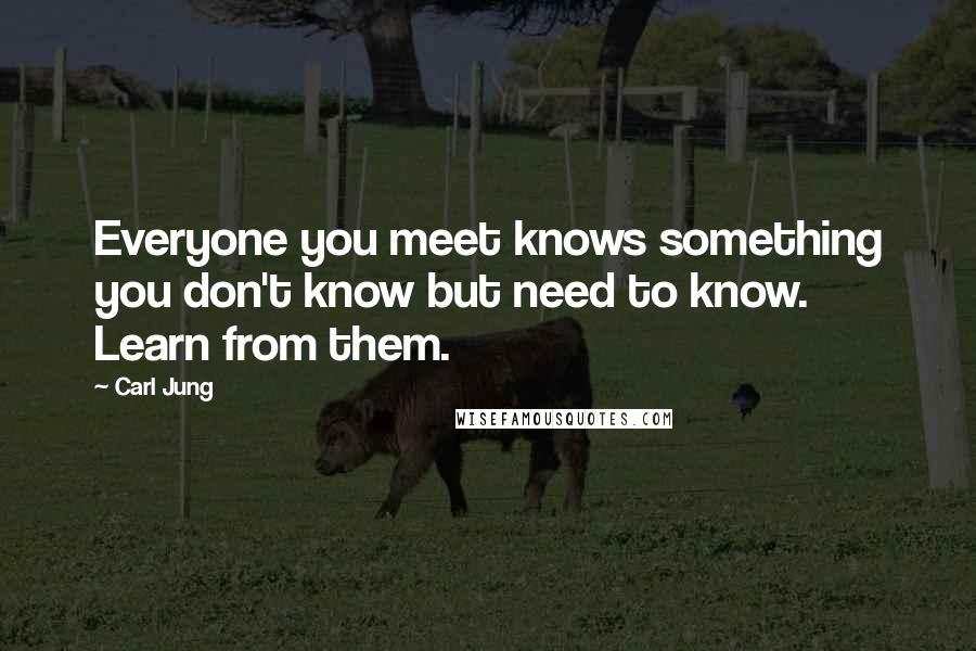 Carl Jung Quotes: Everyone you meet knows something you don't know but need to know. Learn from them.