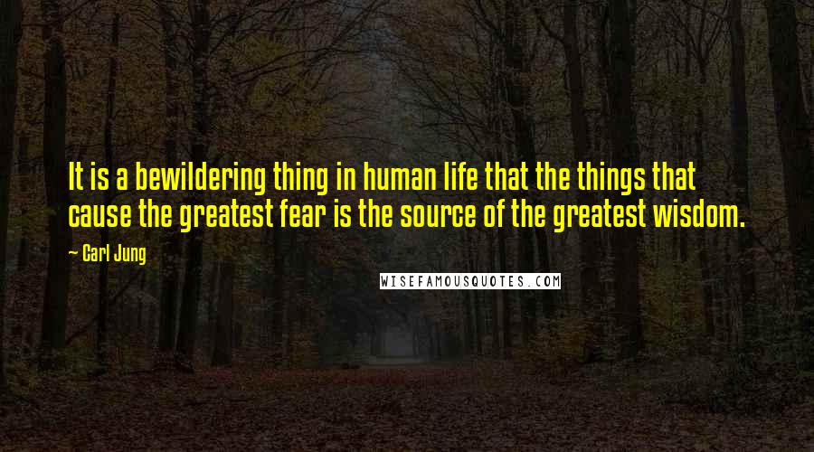 Carl Jung Quotes: It is a bewildering thing in human life that the things that cause the greatest fear is the source of the greatest wisdom.