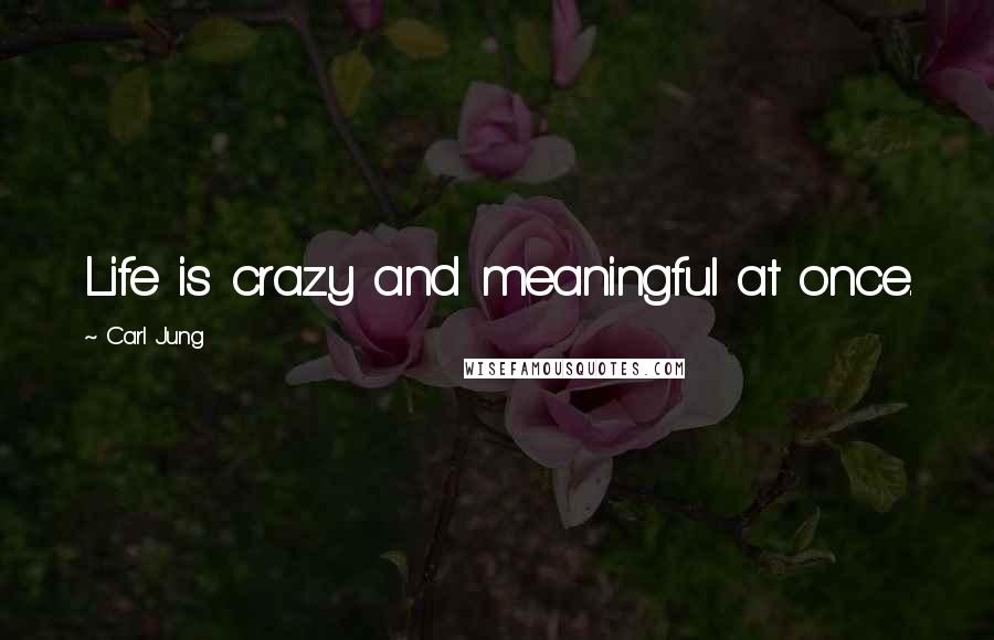 Carl Jung Quotes: Life is crazy and meaningful at once.