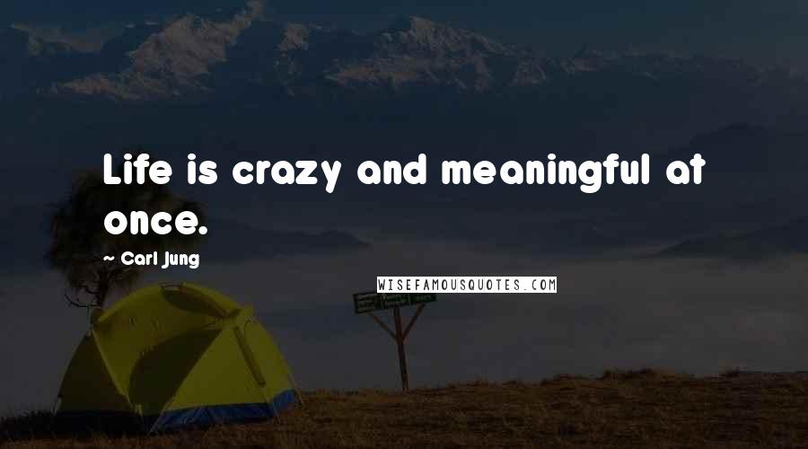 Carl Jung Quotes: Life is crazy and meaningful at once.