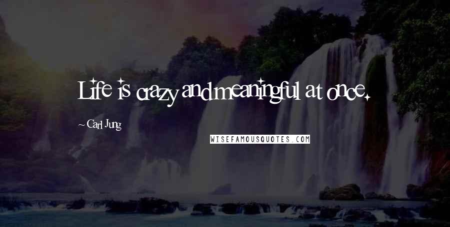 Carl Jung Quotes: Life is crazy and meaningful at once.