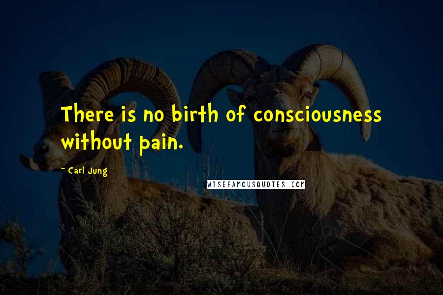 Carl Jung Quotes: There is no birth of consciousness without pain.