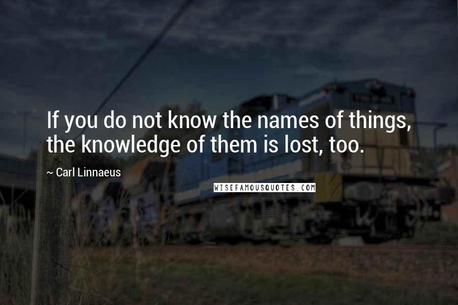 Carl Linnaeus Quotes: If you do not know the names of things, the knowledge of them is lost, too.