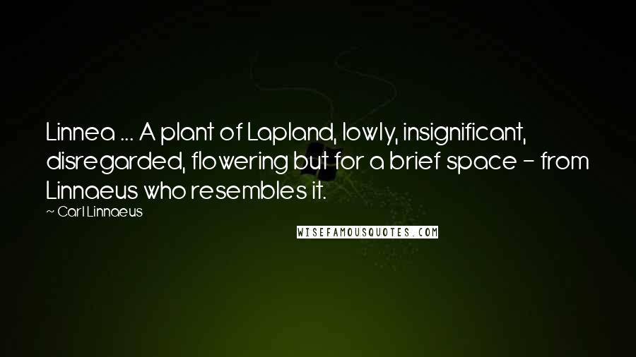 Carl Linnaeus Quotes: Linnea ... A plant of Lapland, lowly, insignificant, disregarded, flowering but for a brief space - from Linnaeus who resembles it.