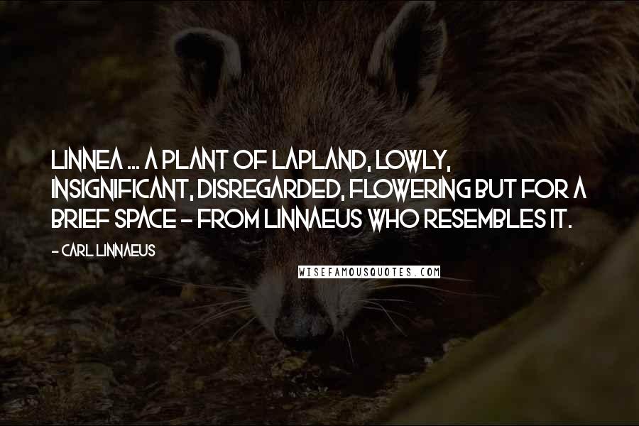 Carl Linnaeus Quotes: Linnea ... A plant of Lapland, lowly, insignificant, disregarded, flowering but for a brief space - from Linnaeus who resembles it.