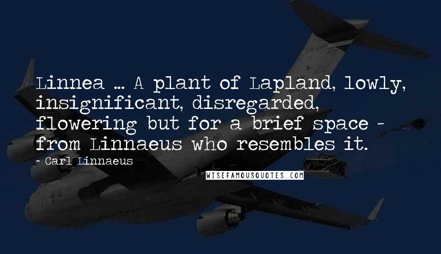 Carl Linnaeus Quotes: Linnea ... A plant of Lapland, lowly, insignificant, disregarded, flowering but for a brief space - from Linnaeus who resembles it.