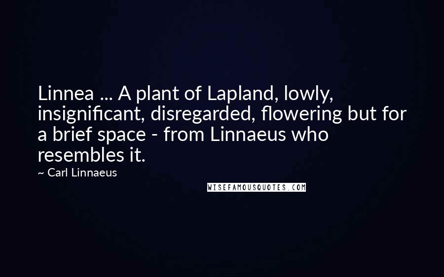 Carl Linnaeus Quotes: Linnea ... A plant of Lapland, lowly, insignificant, disregarded, flowering but for a brief space - from Linnaeus who resembles it.