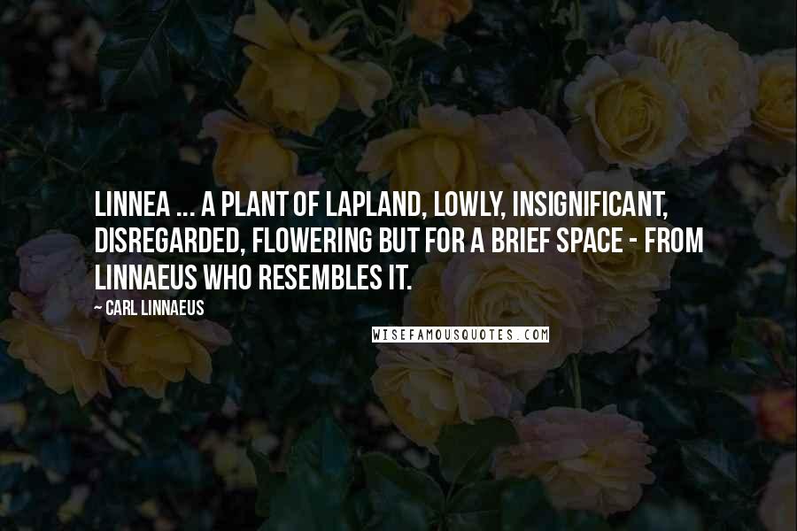 Carl Linnaeus Quotes: Linnea ... A plant of Lapland, lowly, insignificant, disregarded, flowering but for a brief space - from Linnaeus who resembles it.