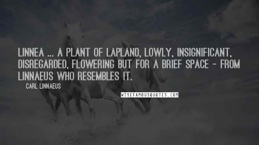 Carl Linnaeus Quotes: Linnea ... A plant of Lapland, lowly, insignificant, disregarded, flowering but for a brief space - from Linnaeus who resembles it.