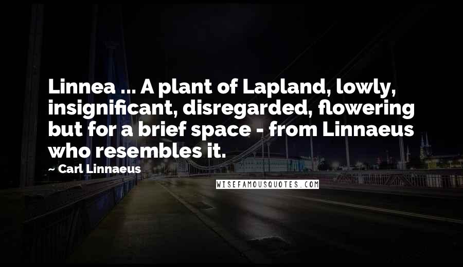 Carl Linnaeus Quotes: Linnea ... A plant of Lapland, lowly, insignificant, disregarded, flowering but for a brief space - from Linnaeus who resembles it.