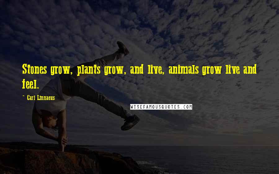 Carl Linnaeus Quotes: Stones grow, plants grow, and live, animals grow live and feel.