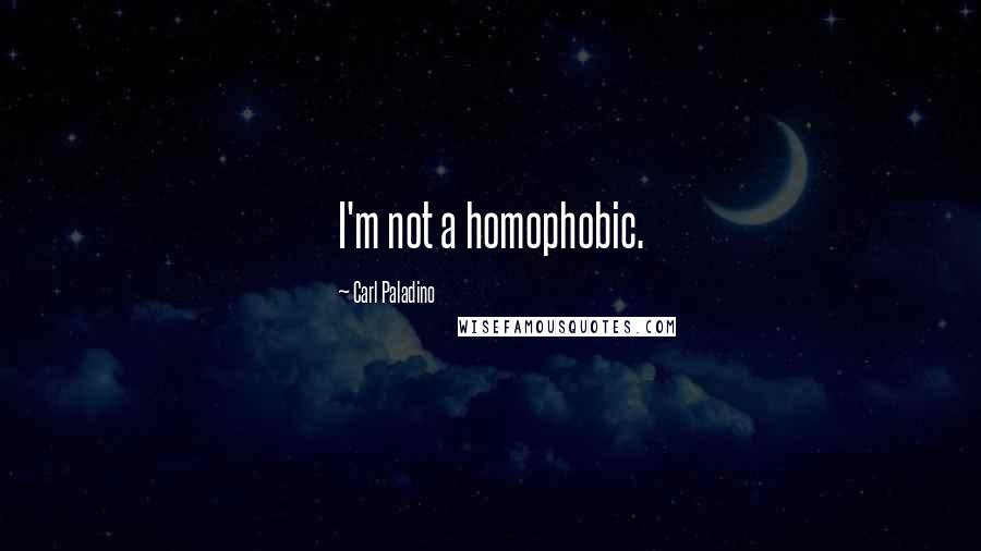 Carl Paladino Quotes: I'm not a homophobic.