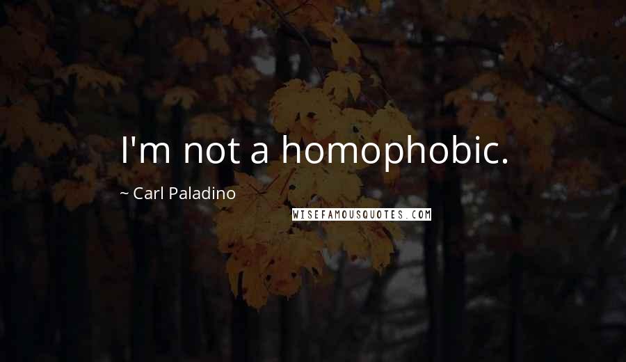 Carl Paladino Quotes: I'm not a homophobic.