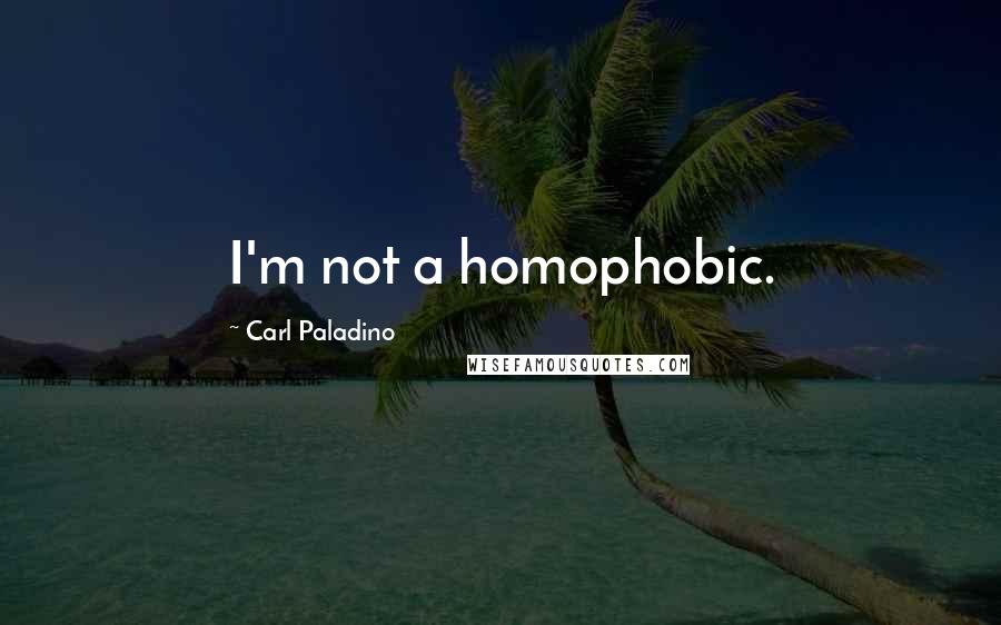 Carl Paladino Quotes: I'm not a homophobic.