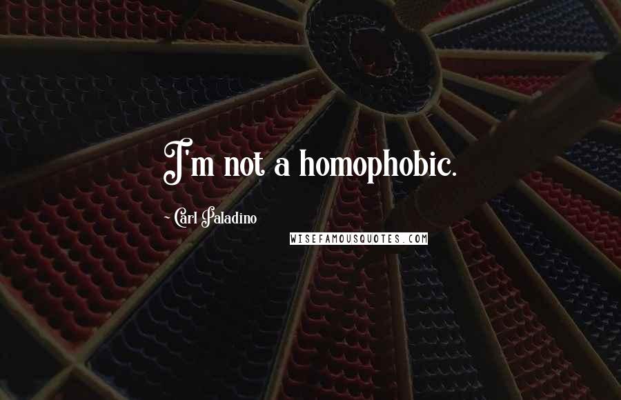 Carl Paladino Quotes: I'm not a homophobic.