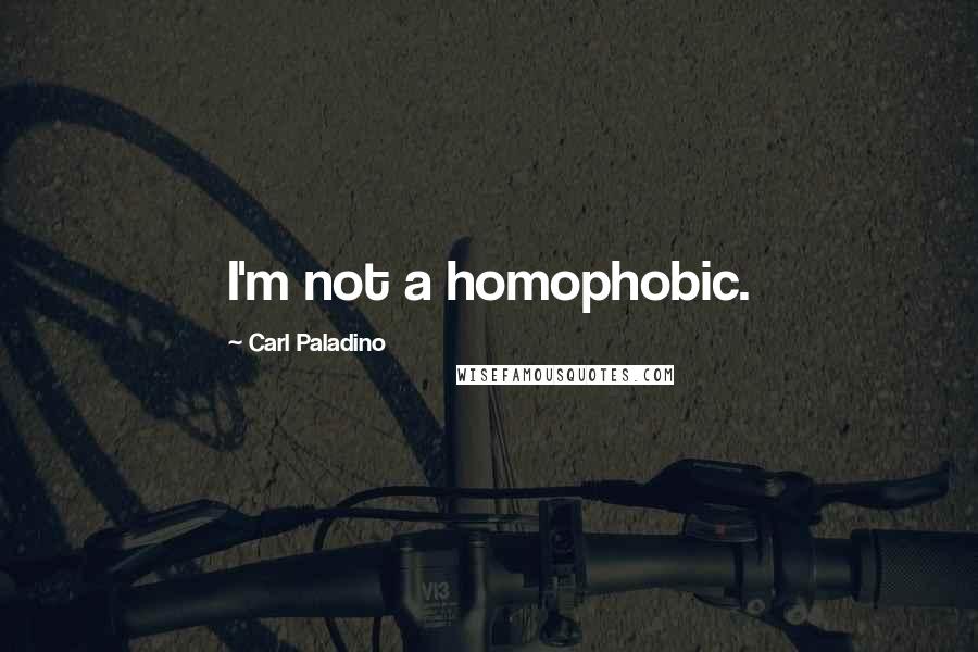 Carl Paladino Quotes: I'm not a homophobic.