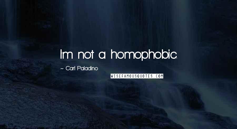 Carl Paladino Quotes: I'm not a homophobic.
