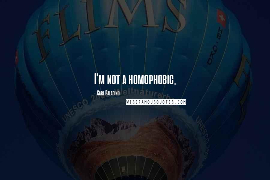 Carl Paladino Quotes: I'm not a homophobic.
