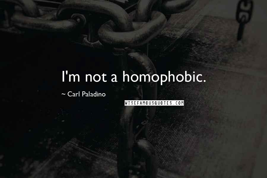 Carl Paladino Quotes: I'm not a homophobic.