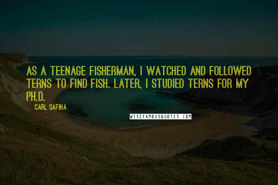 Carl Safina Quotes: As a teenage fisherman, I watched and followed terns to find fish. Later, I studied terns for my Ph.D.